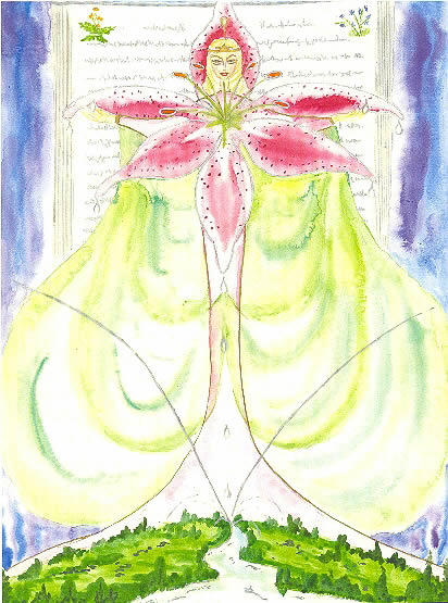 Star Gazer